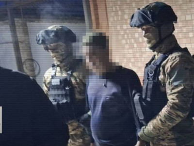 Мемлекет қорғауындағы ағаштарды заңсыз кесумен айналысқан күдіктілер анықталды