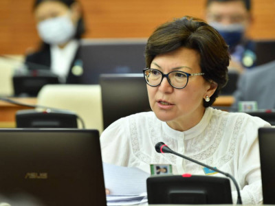 Әскерилер азайып бара жатыр – депутат