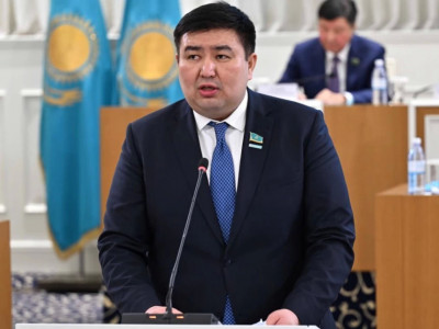 Елнұр Бейсенбаев: Мобильді әрі ықшамды Парламент формуласын таңдаудың маңызы зор