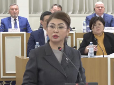 Аида Балаева: Бұл – кезекті бір түзетулер емес, ел дамуының ұзақмерзімді тың моделі