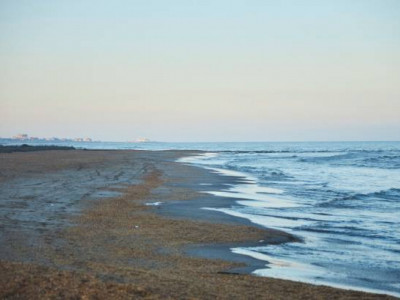 Каспий теңізі жағалауынан әйел адамның денесі табылды