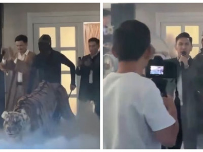 Қазнеттегі талқылау: Сүндет тойдағы жолбарыс жұртты шулатты (ВИДЕО)