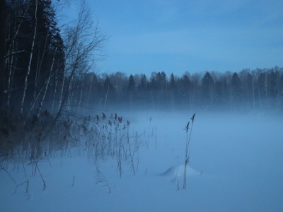 31 қаңтарға арналған ауа райы болжамы жарияланды
