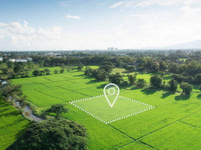 Қазақстан жерін шетелдіктерге сату туралы фейк ақпарат ресми түрде жоққа шығарылды