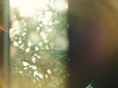 Ғалымдар күн сәулесінің көңіл күйге қалай әсер ететінін түсіндірді