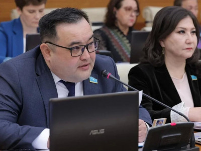 "Студент оқытушыны пышақтаған": депутат білім беру мекемелеріне қауіпсіздік стандарты қажет екенін айтты