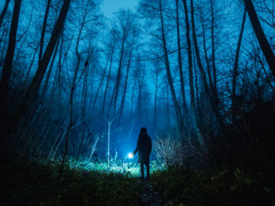 Петропавлда жоғалып кеткен 18 жастағы жігіттің денесі орманнан табылды