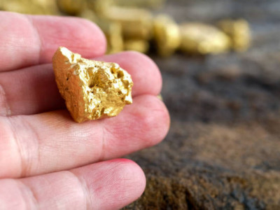 Түркістан облысында алтынды заңсыз өндірген 12 адам анықталды