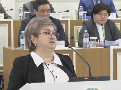 Индира Әубәкірова: Жаңа Конституция адам құқықтары мен азамат құқықтарының аражігін айқын белгілейді