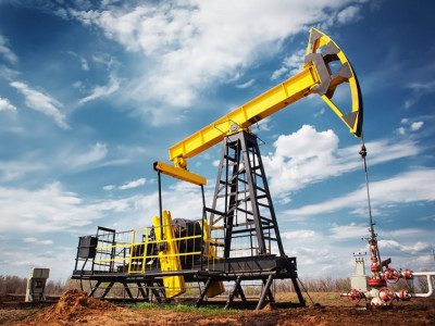 Президент шикізатқа тәуелділікті доғаруды тапсырды