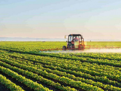 Президент Үкіметке шаруаларды қолдауға бағытталған батыл шаралар қабылдауды тапсырды