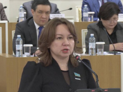 Жаңа Конституцияда барлық өтпелі рәсімдер, мерзімдер мен регламенттер нақты жазылады – Снежанна Имашева