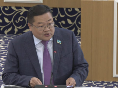 Жаңа Конституциялық жобасын әзірлеуге мыңдаған ел азаматы белсенді атсалысты – депутат