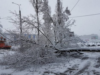 Шымкенттегі аулалардың бірінде 10 жастағы баланың денесі табылды (ВИДЕО)