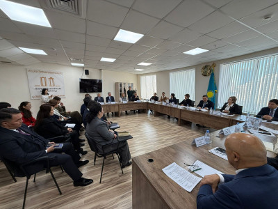 Парламентаризм институты жаңа Конституция жобасын қолдады