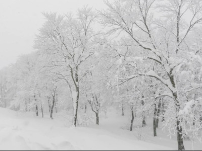 Қазгидромет ауа райына байланысты ескерту жасады