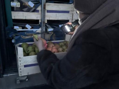 Бельгиядан Қазақстанға келген 19,2 тонна алмұрт кері қайтарылды