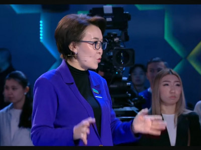 Үнзила Шапақ: Жаңа Конституция жобасындағы басты құндылық – адами капитал