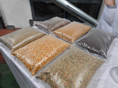 Семейде бұршақ және майлы дақылдарды өңдейтін зауыт іске қосылды