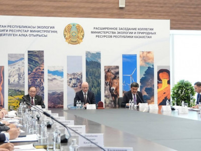 Конституциялық реформалар аясында экологиялық қауіпсіздік басым бағыт ретінде айқындалды