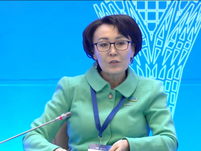 Үнзила Шапақ: Халықаралық шарттардың қолданылуын заңмен белгілеу конституциялық тұрақтылықты сақтайды