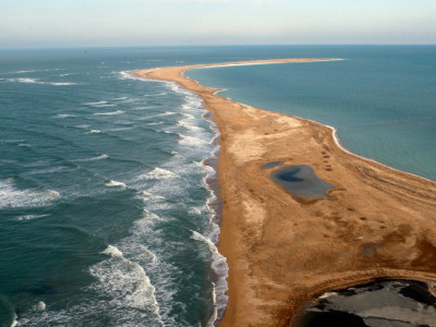 Үкімет Каспийді зерттеуге және сақтауға 1,1 млрд теңге бөлді