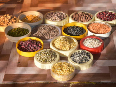 Қазақстанда отандық тұқымның жаңа сорттарының саны 3 есеге артты – министр