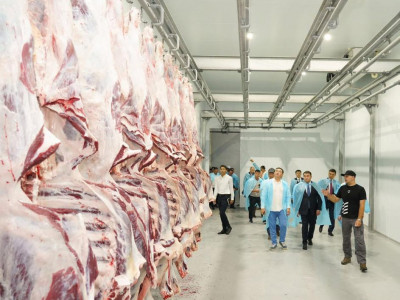 Министрлік сиыр еті экспортына қатысты ақпаратты жоққа шығарды