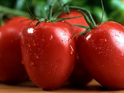 Қытай ғарышта қызанақ өсіріп, мол өнім алды