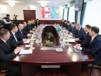 Қазақстан мен Грузия ішкі істер министрлері Астанада кездесті