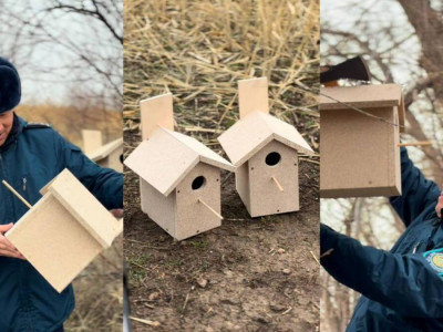 Жамбыл облысында полицейлер құстарға ұя салып берді