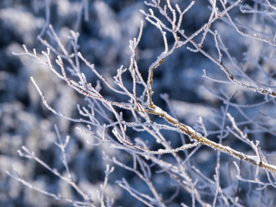 "Қар, боран, көктайғақ": Бейсенбіге арналған ауа райы болжамы жарияланды