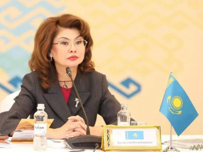 Жаңа Конституция жобасындағы өзгерістер қолданыстағы нормаларды күшейтеді – Аида Балаева