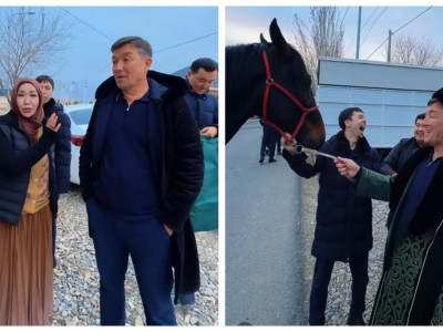 "Айнұр таңдаған ат": Айтыскер ақындар Бекарыс Шойбековке құрмет көрсетті (ВИДЕО)