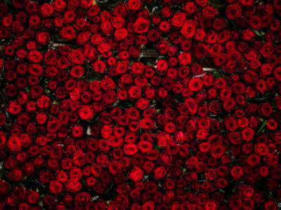 8 наурыз қарсаңында Қазақстанға қанша гүл әкелінеді?