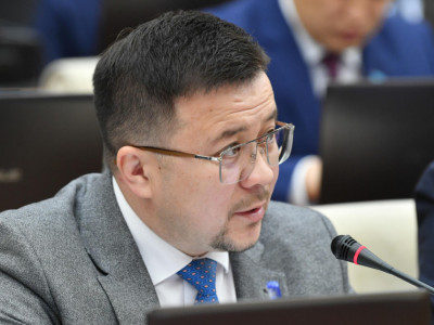 Шетелде қарулы қақтығысқа қатысқан азаматтардың жазасын жеңілдету керек – депутат