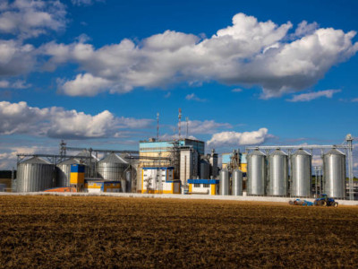 Ақмола облысында майлы дақылдарды терең өңдеу кешені салынып жатыр