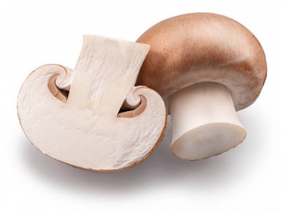 Саңырауқұлақтың пайдасы біз ойлағаннан әлдеқайда көп екені анықталды