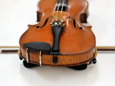 Әйгілі италиялық шебер Страдивари атақты скрипкаларын қандай ағаштан жасағаны белгілі болды