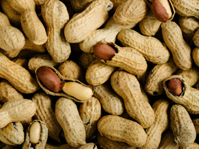 Ғалымдар жержаңғақ қабығынан арзан әрі экологиялық электроника жасауға болатынын анықтады