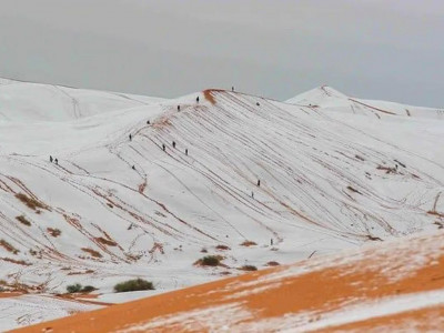 Сахара шөлі әлемді сирек құбылыспен таңғалдырды