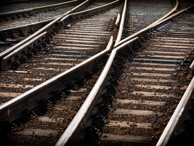 Ақмола облысында жүк пойызы 11 жылқыны басып кетті