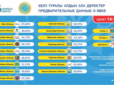 Ел азаматтарының жартысынан көбі дауыс берді – Орталық референдум комиссиясы