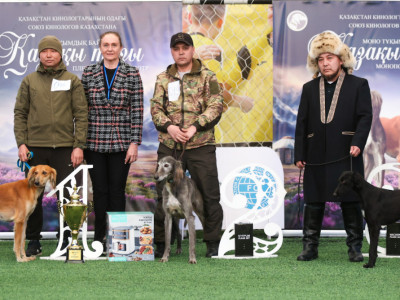 Алматыда қазақы тазыны кеңінен танытуға арналған кинологиялық көрме өтті