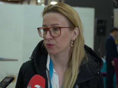 «Бұзушылықтар тіркелген жоқ»: Ресей ОСК өкілі референдумды жоғары бағалады