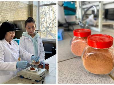 Қазақстандық ғалымдар обырдың алдын алуға арналған биологиялық қоспа әзірлеп жатыр