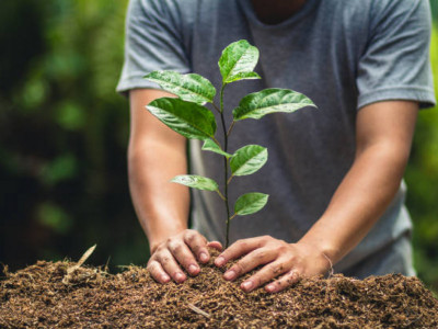 19 наурыз – Жаңару күні