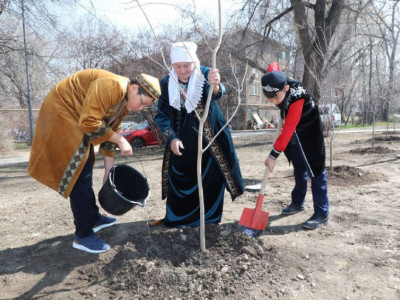 Алматыда Жаңару күнінде 400-ден астам ағаш егілді