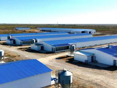 Қызылордада жылына 3,5 мың тонна өнім өндіретін құс фабрикасы іске қосылады