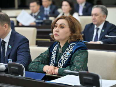 Бибигүл Жексенбай алаяқтықтан зардап шеккендерді қорғаудағы олқылықтарды атап өтті